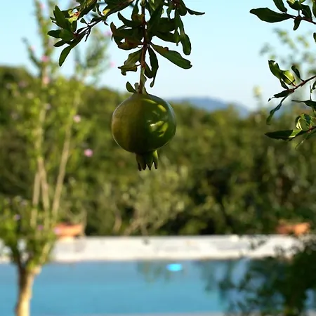 Villa Ndreca