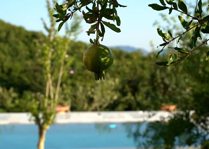 Villa Ndreca